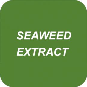 SEAWEED EXTRACT