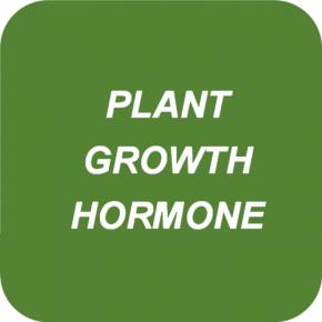 PLANT GROWTH HORMONE